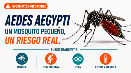 Lorem ipsum